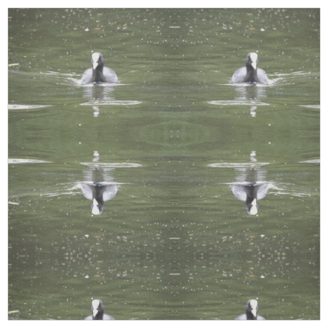 Nadação De Coot Tecido Animal Padrão (Modelo)