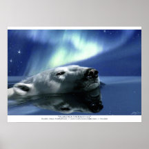Nadar Urso Polar e Aurora Poster