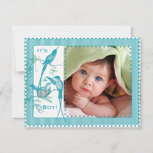 Namorado de Bebê Aqua Vintage Aves Imagem Anúncio