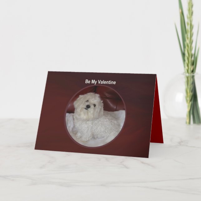 Namorados malteses - você tem meu cartão do (Frente)
