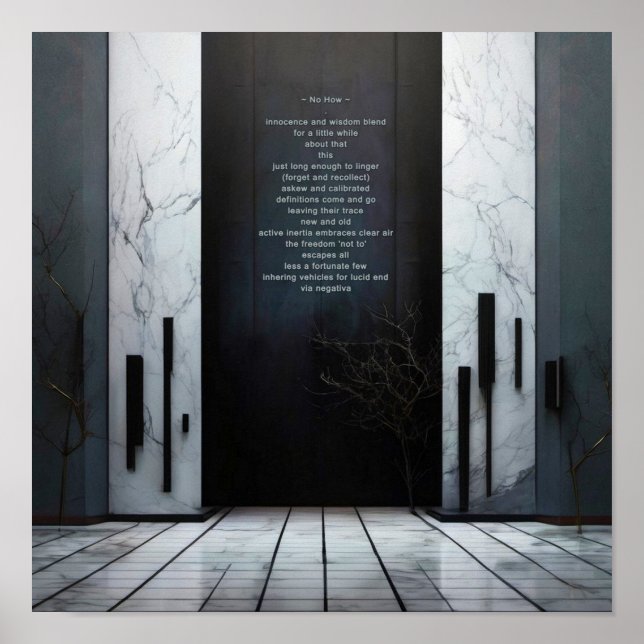 NÃO COMO Poster de Filosofia Poem (Frente)