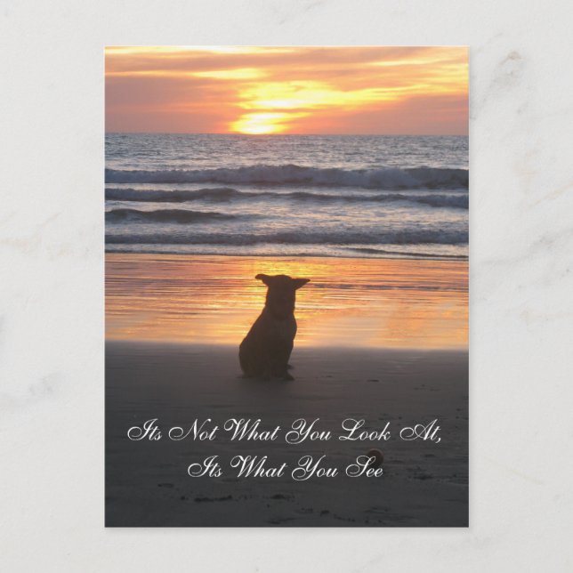 Não é o que você olha. É o que você vê cartão (Frente)