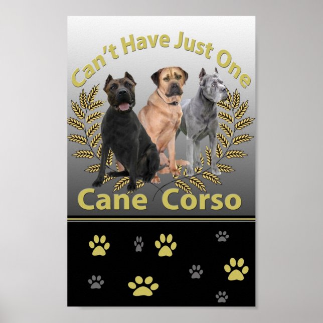 Não é possível ao Corso ter apenas um Poster e Imp (Frente)