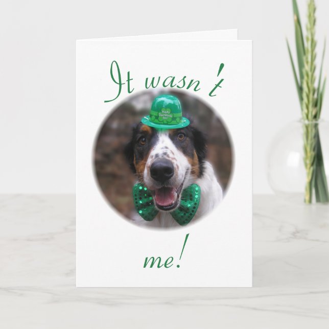 "Não fui eu!" Cartão de Festividades (Frente)