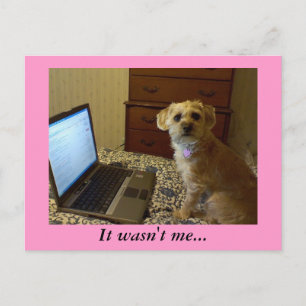 Não fui eu... Cartão Postal