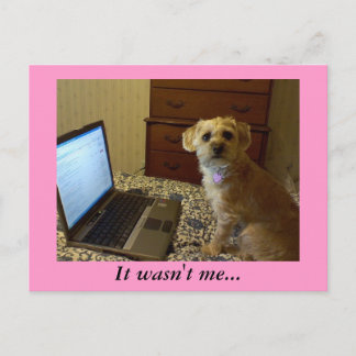 Não fui eu... Cartão Postal