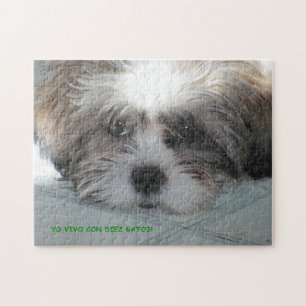 Não há Quebra-cabeça de Feliz Jigsee