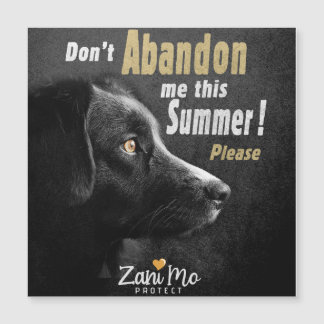 Não me abandone este Verão - Proteção dos cães