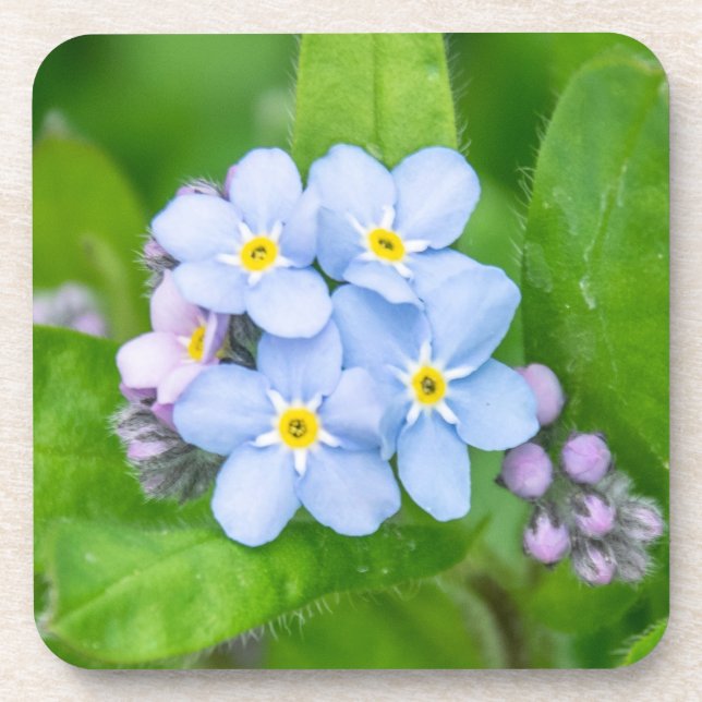 Não me esqueça, porta copos de plástico Duro (Frente)