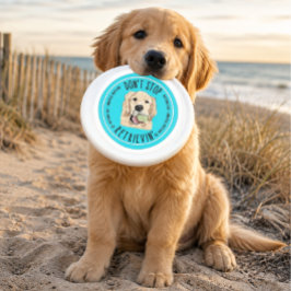 Não Pare de Buscar Frisbee para Cachorro