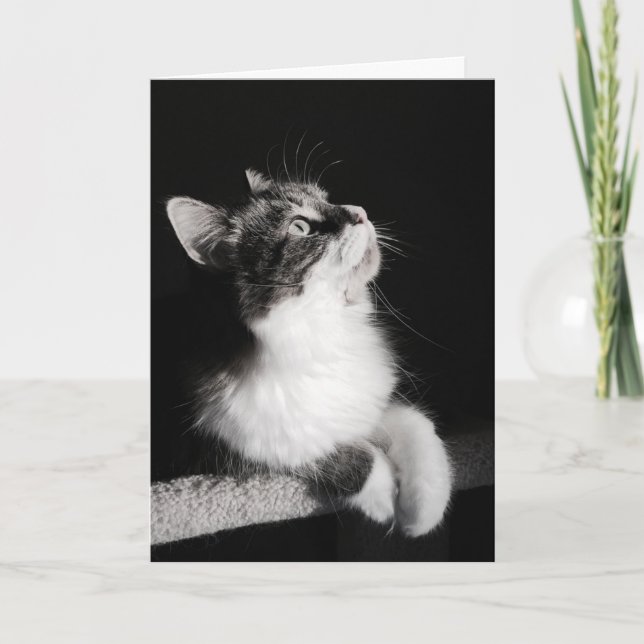 Não pare sonhar o cartão (Frente)