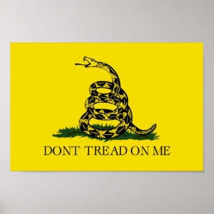 Não pise em mim (o poster do tea party da bandeir