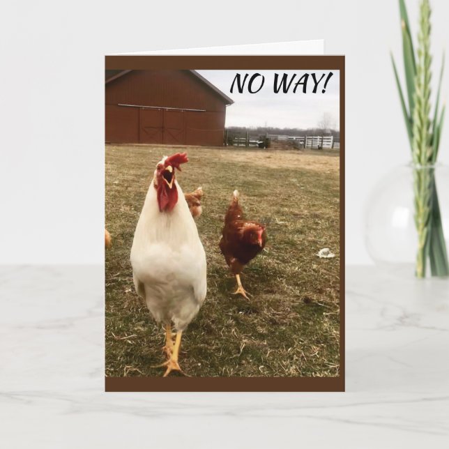 NÃO PODE SER CARTÃO "16" (Frente)