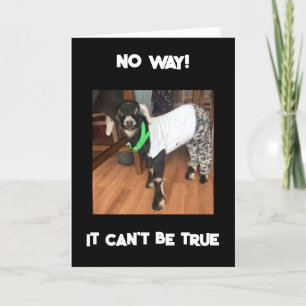 NÃO PODE SER CARTÃO "40"