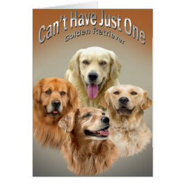 Não pode ter cartões de apenas um golden retriever
