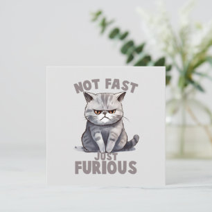 Não Rápido, Apenas Furioso - Humor De Gato Cinza