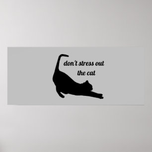Não ressalte a Poster engraçada do gato