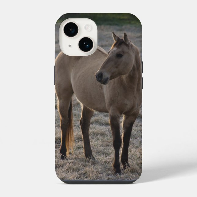 Não sou Bonito capas de iphone (Verso)