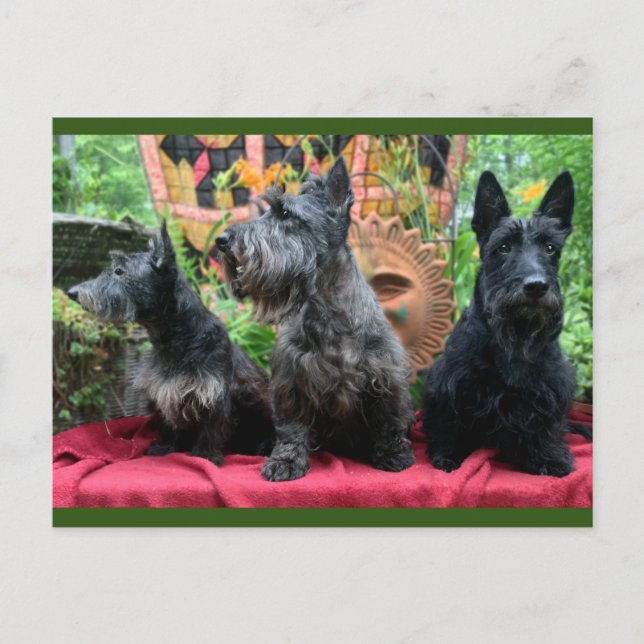 Não vai parecer um cartão de Posto (Frente)