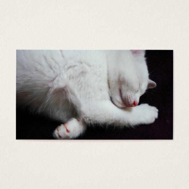 NAP de gatinho (Frente)