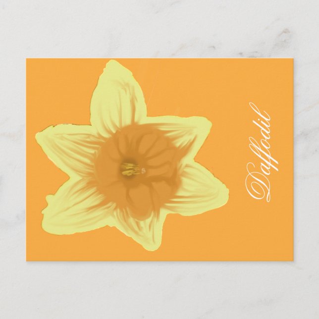 Narciso Cartão Postal Vertical Laranja (Frente)