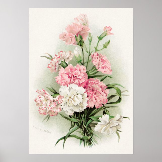 Narrativas de safra bonitas, poster (Frente)