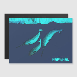 Narwhal Sob O Gelo