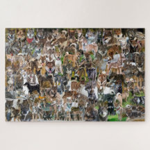 NASC 2022 Quebra-cabeça de serra