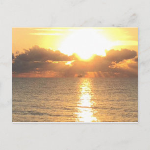 nascer do sol no cartão postal Palm Cove