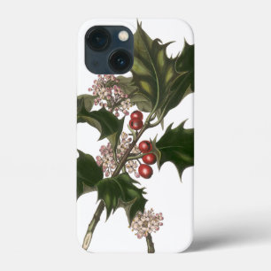 natais vintages, Green Holly Plant com Berries
