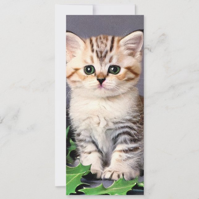 Natais vintages Kitten e Holly Card (Frente)