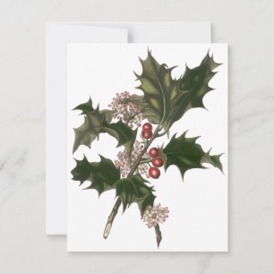 Natal Antigo, Convite de Bagas de Planta de Azevin