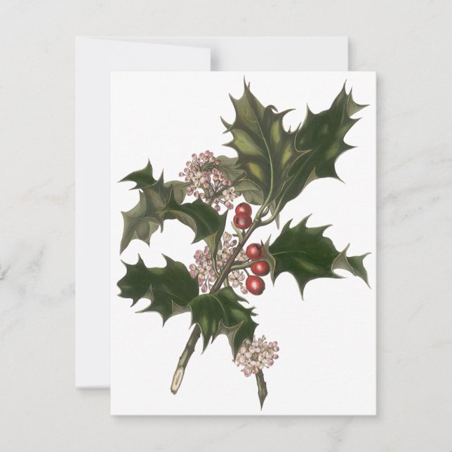 Natal Antigo, Convite de Bagas de Planta de Azevin (Frente)