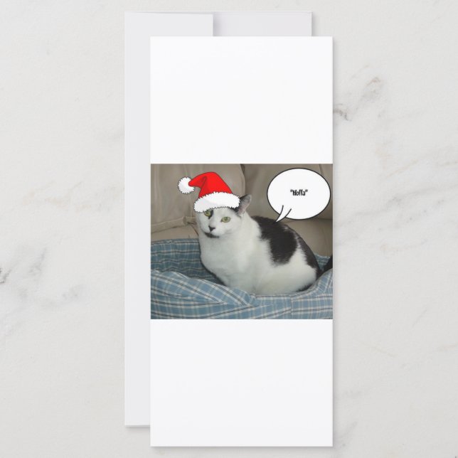 Natal Black and White Kitten (Frente)
