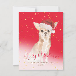 Natal Chihuahua Cachorro Dourado Saudação Sazonal