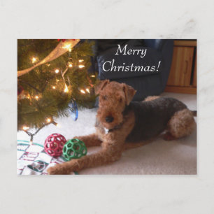 Natal com cartão de Madeleine