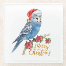 Natal da Periquita