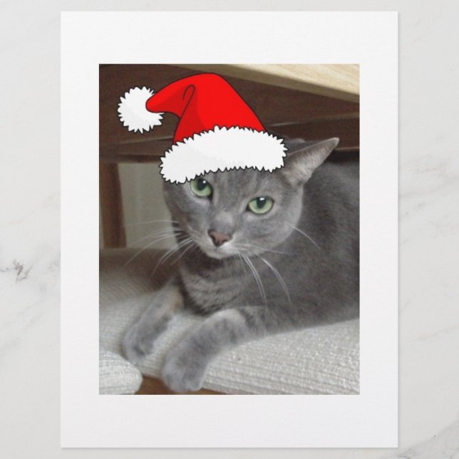 Natal de Gato Azul Russo (Frente)