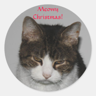 Natal de Meowy! - Etiquetas dos cartões de natal