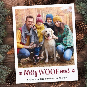 Natal De Orçamento Do Cachorro Foto Simples De Pet