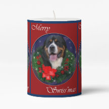Natal do Cão da Grande Suíça
