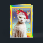Natal do Meow do papai noel do gato do cartão |<br><div class="desc">Cartões bonitos dos animais de estimação por sonhos do Sequin. Fotografias tomadas de meus amigos peludos. Descrição do cartão: Cartão de Natal do papai noel do gato de Rex do divertimento. Texto do cartão: o cartão interno diz do "o Natal Meow" Modelo: Devon Rex Casper nomeado gato. © de Copyright...</div>