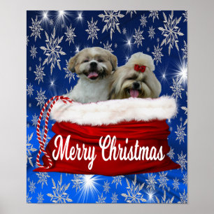 Natal do poster do tzu de Shih