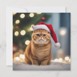 Natal Exótico