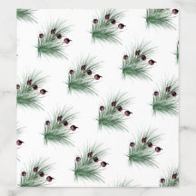 Natal Holly Berry Bush