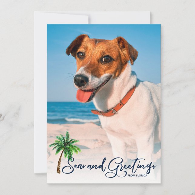 Natal litoral e 3 Cartões com fotos (Frente)