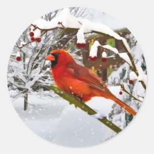 Natal, pássaro cardinal, neve, etiqueta