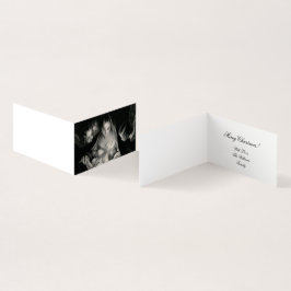 Natividade Mãe Mary Angela Bebê Jesus Magnético