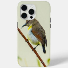 Nature Bird Phone Case