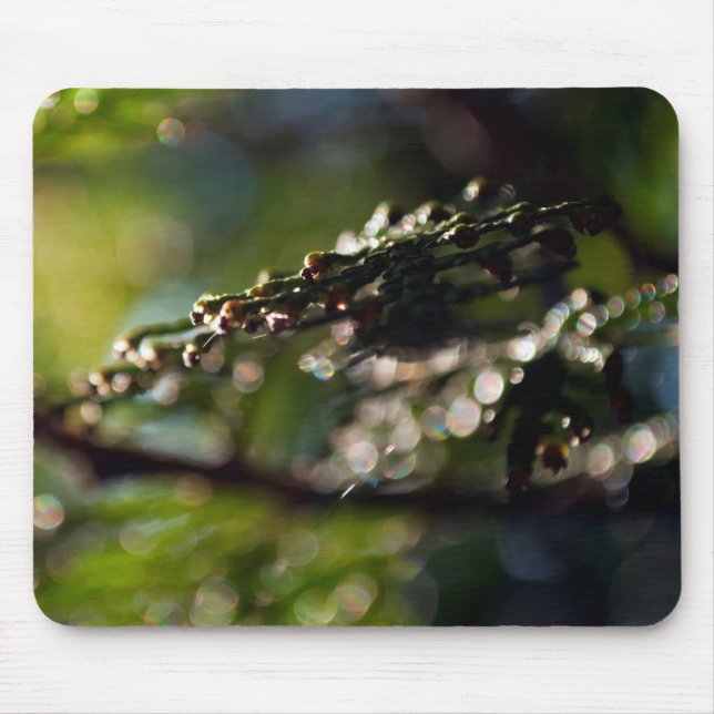 Nature Mouse Pad com fotografia do galho maco Ceda (Frente)